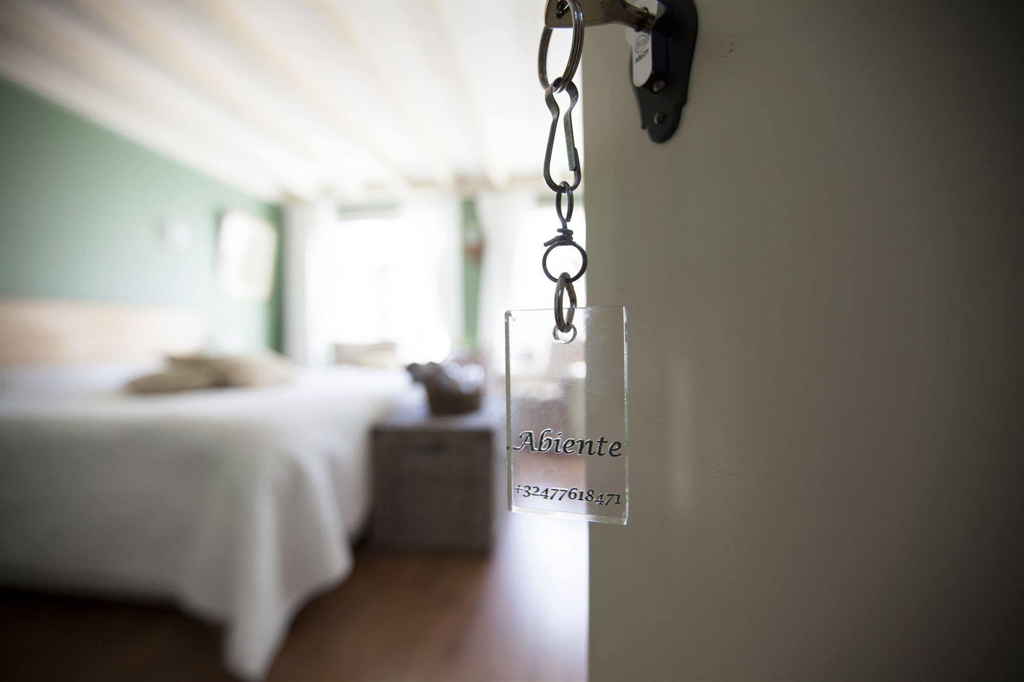 The Abiente Lodge *